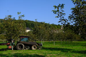 Gaec Des Ferri Res Producteur De Noix Produits Base De Noix